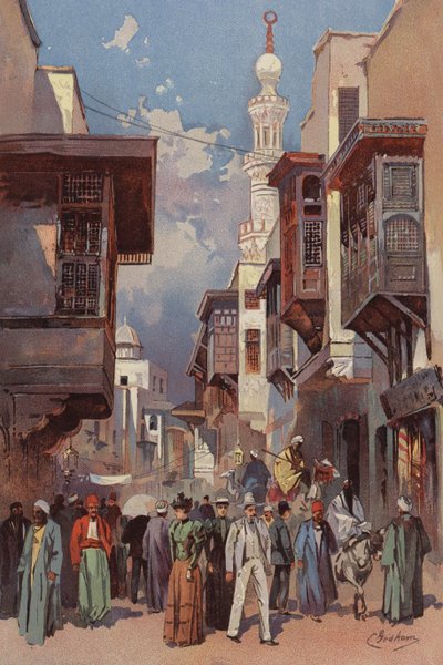 Cairo Street by American School